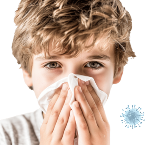 Air Ducts Cleaners Carrollton TX